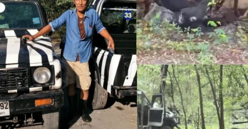 First case in 40 years': Zoo Keeper Dragged and Killed as Lions' Instincts Take Over HM