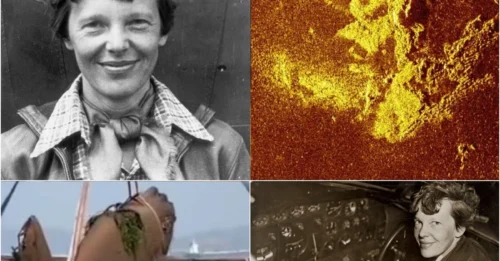 THE CHILLING Mystery of Amelia Earhart's 88-Year Disappearance: The Legendary Aviator and Her Bizarre Death Over the Pacific in 1937