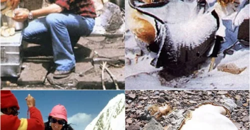 THE FIRST WOMAN to Die on Everest: The HORRIFYING True Story of Hannelore Schmatz