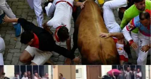 Arena of Chaos: Shocking Moment Bull Attacks Spectator in Spanish Festival