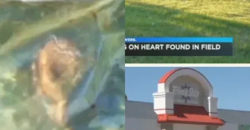 Paramedics Expect a Routine Call, Instead They Find a Beating Heart in a Grocery Bag