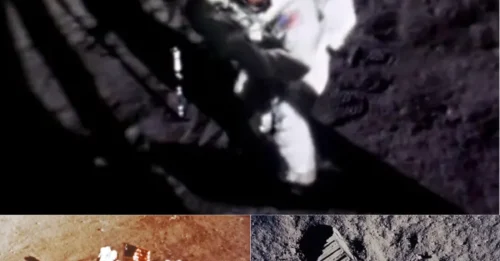 The Truth Hidden for 50 Years: This is Neil Armstrong's Real Face as He Set Foot on the Moon.