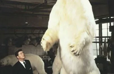 THE GIANT OF KOTZEBUE SOUND: The SHOCKING True Story of The Largest Polar Bear Ever Killed