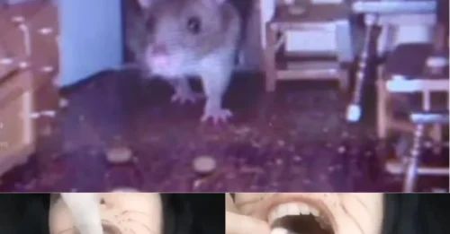 She Thought This Stunt Would Make Her An 'Influencer'. But There's A Chilling Truth Behind The Ghoulish Display