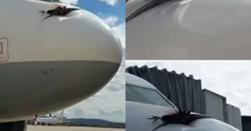 WINGS OF TERROR! 300 Souls in 200-Ton Jet in Near-Death Collision With 'King of the Sky'!