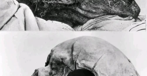 The Tragic Fate of Europe's Bravest Monarch: The SHOCKING 300-Year Mystery of Swedish King Charles XII's Death