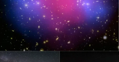 The Universe is... Surprisingly Underweight: 19 Galaxies Found Completely Devoid of Dark Matter