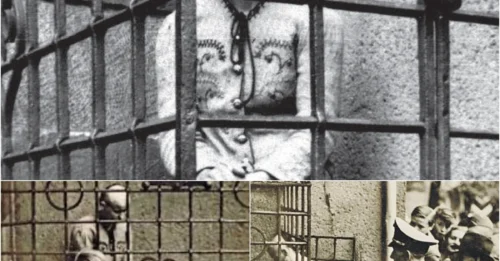 LOVING A POW Was A CRIME: The NAZIS' BRUTAL Public Humiliation Of A Woman Who Defied Their Rules