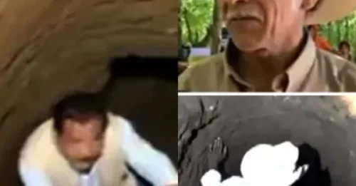 Weird: Man 'Heard God's Command' Dug Tunnel for 18 Years, Reveals Buried Secret That Shocked EVERYONE!