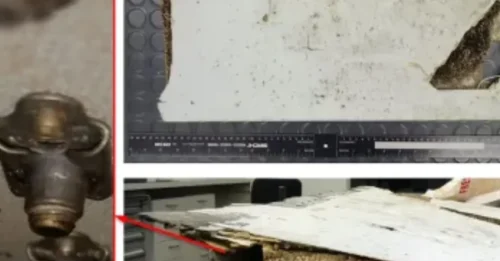IRREFUTABLE EVIDENCE: Confirmed Plane Wing Fragment Proves MH370 Crashed at Sea - The Century's Greatest Mystery Enters a New Chapter!