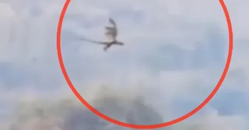 Celestial Dragon Appears in China: The Shocking Truth Revealed Behind 