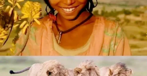 7 DAYS OF HELL, 1 UNLIKELY RESCUE: How THREE LIONS Mysteriously Rescued a Kidnapped Girl and Stood Guard Until Help Arrived