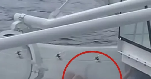 Terrifying moment cruise passenger gets STUCK in water slide hanging overboard above sea