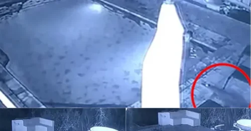 Shocking moment CROCODILE jumps into hotel swimming pool sending swimmers scattering in panic – as one man leaves his bikini-clad girlfriend to fend for herself