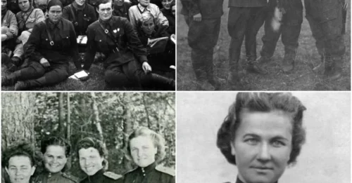The Night Witches: An all-female squadron whose silent bombs, dropped from outdated planes, struck terror into the heart of the Nazi German army.