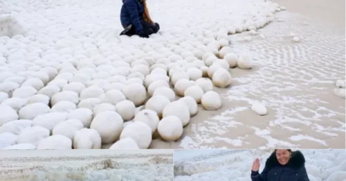 The Snowballs That Shouldn't Be There: An Eerily Perfect Invasion of Ice Spheres Washes Up on an Empty Russian Beach