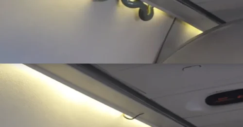HAIR-RAISING: On a packed passenger jet, hundreds of passengers screamed in terror when 'that thing' fell from above into the cabin!