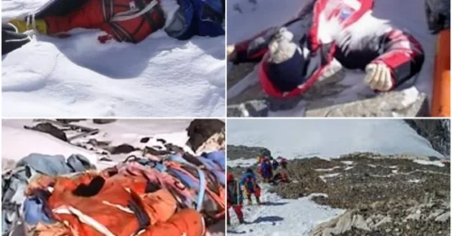 The chilling truth: Everest is not only the world's rooftop—it’s also the eternal frozen tomb of over 200 climbers.