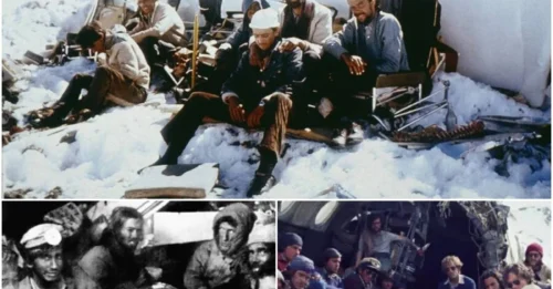 ANDES' ULTIMATE TEST: How the Living Were Forced to Feed on the Dead After Flight 571's Demise.