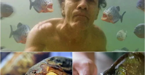 PIECE BY PIECE: Shocking Video Shows Piranhas Devouring Man During 'Fun' Fishing Trip!hm