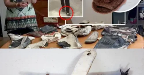 A disturbing coincidence: Debris tucked away in a private shed eerily matches evidence from the MH370 disaster