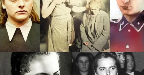 The Beautiful Woman Called the 'SS Queen': At Just 22, The Guard Who Became a Legend of Nazi Terror, One of the 3 Cruelest Women in World History