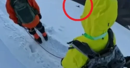 A Bloody Warning from 18,000ft: The Gruesome Death of a Hiker After a Stupid, Fateful Decision