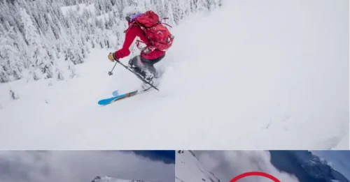 DISASTER FROM ABOVE: Terrifying footage shows moment skier 'plays with death', triggers massive avalanche with one careless move.