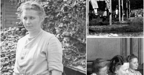 The Beauty and the Killing Machine: The Horrifying Truth About the 'Death Goddess' Jenny-Wanda Barkmann