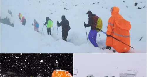 URGENT RESCUE MISSION: Hundreds of Lives Hang in the Balance Amidst Fierce Himalayan Blizzard