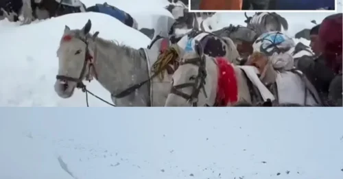 Shocking Confession from the 'Realm of the Dead': Everest Survivors Reveal the Moment They Thought They Would Be BURIED ALIVE - and the Terror is NOT Over!
