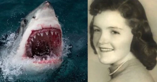 The horrific 1985 murder case: The image of the husband and children helplessly watching Shirley Ann Durdin being torn apart and disappearing from the water in an instant remains an indelible nightmare.