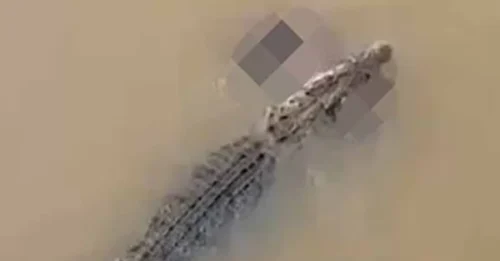 PREHISTORIC BEAST Awakens from River Depths: Woman Taking a Midday Swim Dragged to the Underworld by 'River Monster'