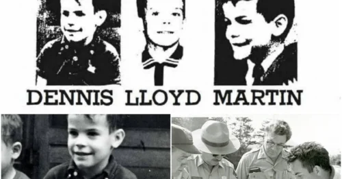 The greatest mystery of the Great Smoky Mountains: A piercing scream echoes - and 6-year-old Dennis Martin VANISHES forever.