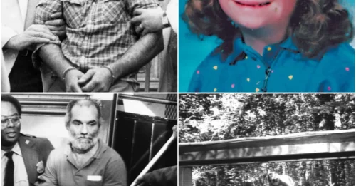 The disappearance of each child is a crack on the surface of the community, and all lead back to a recluse with a frenzied gaze and a dark heart: Andre Rand.