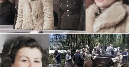 DEADLY BEAUTY: Meeting Nurse Vera Meant No Return – The Most Beautiful Killer of Ravensbrück Concentration Camp hm