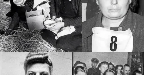 THE OBESE BEAST OF THE CAMPS: How Herta Ehlert, a Notoriously Brutal Camp Overseer, Got Only 8 Years and Lived to 92