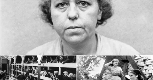 THE LAUGHING BUTCHER: The Sadistic Pleasure of Gertrude Saurer, One of the Nazi's Most Feared Female Guards hm