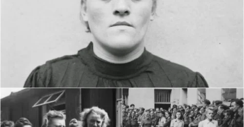 SHE DROWNED WOMEN IN A POOL: The Horrific Crimes of Hildegard Lohbauer - The SS Guard Who Was a Single Mother