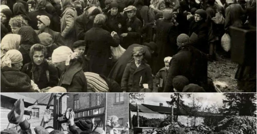 LIVING AMONG THE DEAD: The SECRET AND GRUESOME Work of the Sonderkommando in the Nazi Death Camps