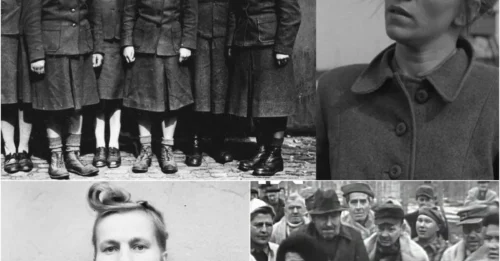 THE FIRST WOMAN HANGED FOR THE HOLOCAUST: Elizabeth Volkenrath – The Nazi “Butcher” Executed by Albert Pierrepointt