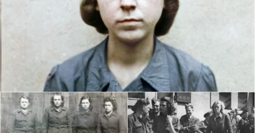 THE SHE-DEVIL OF BELSEN: Ilse Forster - The Woman Who Turned Factories and Concentration Camps into Living Hell