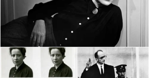 Hannah Arendt saw the 
