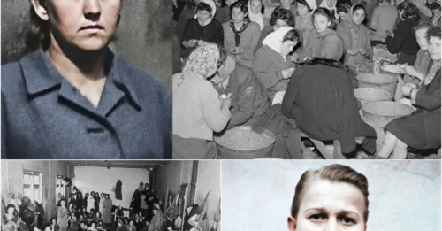 FROM CONCENTRATION CAMP BEAST TO DEVOUT MOTHER: The Chilling Double Life of Nazi Guard Hilde Lisiewicz and Her Shockingly Lenient Punishment