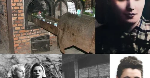 THE CHILLING FINAL DEFIANCE OF THE BEAUTIFUL HEROINE MALA ZIMETBAUM TO THE NAZIS - The first woman to escape Auschwitz, who was captured and burned alive in its crematorium
