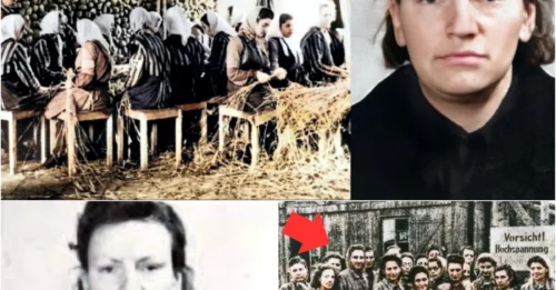 “THE BEAST” OF RAVENSBRÜCK: The Mystery of Ruth Neudeck’s Execution – One of the Most Brutal Female Guards of the Nazis HM