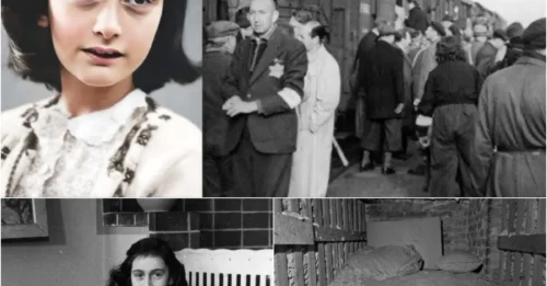 THE LAST DAYS OF ANNE FRANK: How did Nazis murder Anne Frank? Life of Anne Frank in the Secret Annex and her painful death - WW2