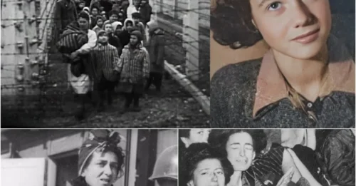 THE BEAUTIFUL NAZI REVENGE OF AN 18-YEAR-OLD BEAUTY: Dita Kraus - The Girl Who Twice Escaped Auschwitz Concentration Camp, Whose Enemies Had to Surrender to Her Resilience