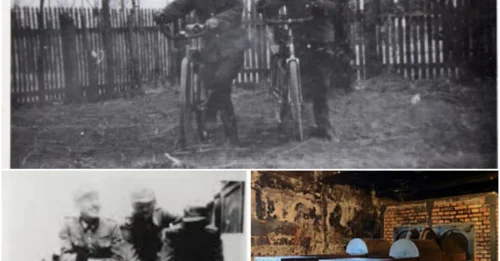 BEYOND THE GUARD, BEYOND THE EXECUTIONER: Nikolay Shalayev Was a Core Component in the Nazi Killing Machine, A Craftsman of Terror Whose Legacy is 870,000 Silent Voices.