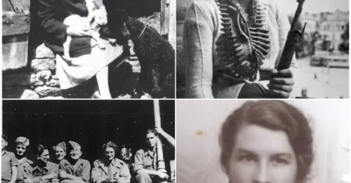 HER WOODEN LEG WAS HER GREATEST COVER: The Nazis Saw a Disabled Civilian, Not the Mastermind of Daring Prison Breaks and Devastating Guerrilla Strikes That Tormented Them for Years.
